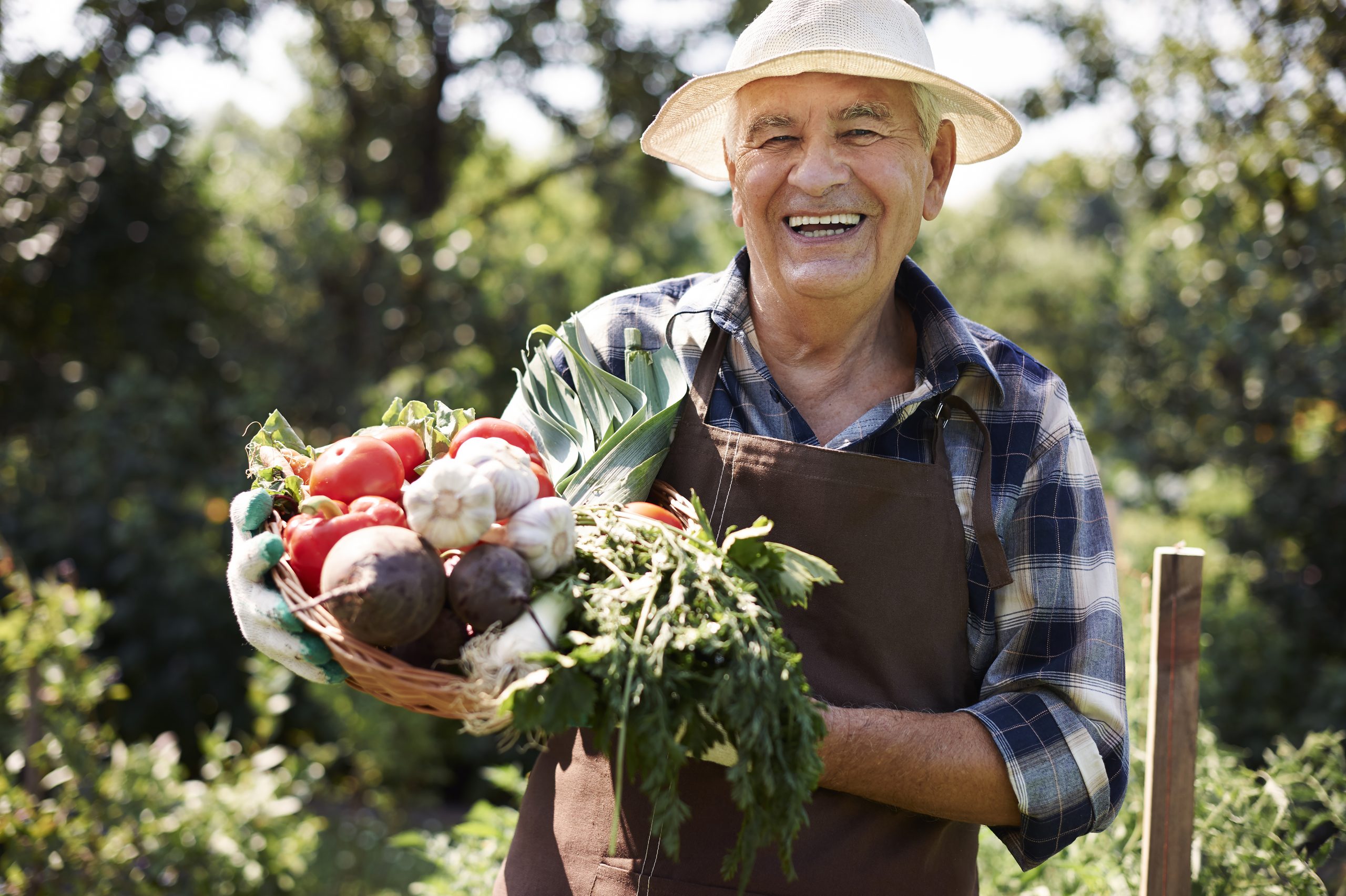 This year is very abundant in crops